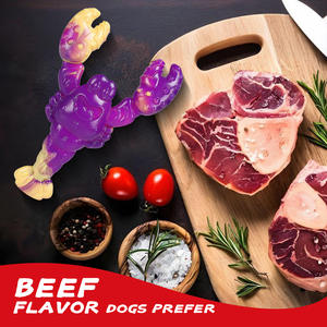 2025 yeni toptan dayanıklı diş temizleme gıda sınıfı naylon köpek kemik oyuncak yıkılmaz Anti-bite köpek Bite oyuncak - Product Image 4