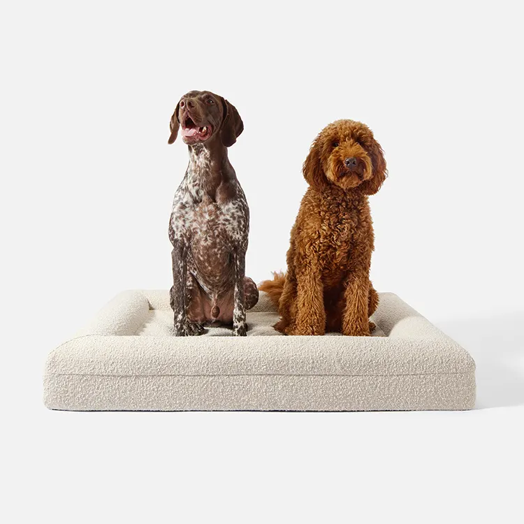 Cama para perro Boucle personalizada de fábrica, protege las articulaciones, refuerzo de cuello suave, lavable, fácil de limpiar, cama ortopédica grande para perro Boucle