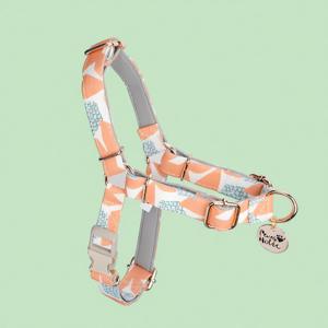 Harnais pour chien en coton respirant, taille S, imprimé élégant, sans traction, avec design moderne et durable personnalisé pour petits chiens - Product Image 1