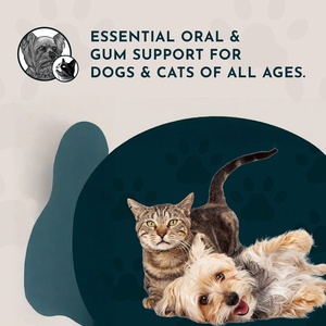 OEM/ODM, Lavado Bucal Saludable para Perros y Gatos, Aliento Fresco, Lavado Bucal Orgánico, Suplemento <span class=keywords><strong>Herbal</strong></span> - Product Image 5