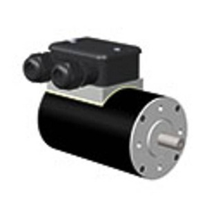 Motor de Corriente Continua GEFEG-NECKAR de Grado Industrial Alemán para las Industrias Alimentaria, Química y Farmacéutica - Product Image 1