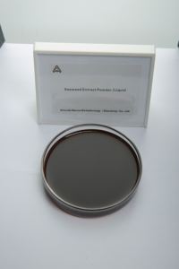 سماد عضوي سائل استخراج الأعشاب البحرية ملحق سارغاسوم أسكوفيليوم نودوسوم الأعشاب البحرية الطبيعية من البحر - Product Image 2