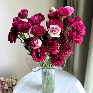 Suministro Directo de Kunming, <span class=keywords><strong>Eustoma</strong></span> <span class=keywords><strong>Grandiflorum</strong></span> Fresca Recién Cortada con Capullos, Decoración Floral, 8-13 Ramas/Unidad - Product Image 1
