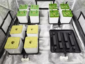 Copertura in Lana di Roccia per Idroponica, Protezione Antigoccia per Irrigazione da Giardino - Product Image 6