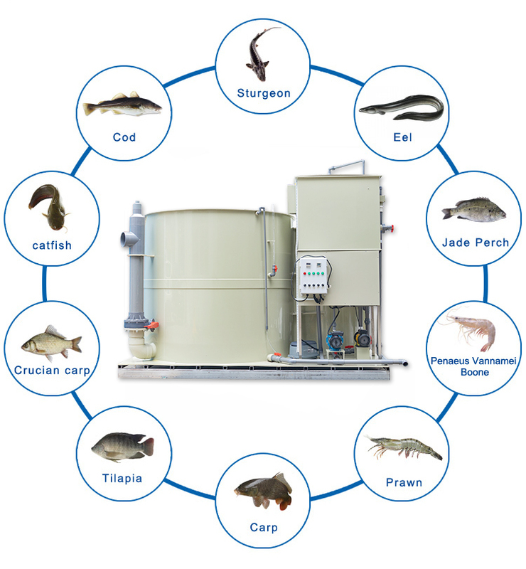 QihangRAS Aquaculture Equipment All in One