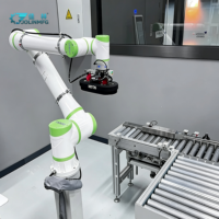 Système de palettisation automatisé flexible avec robot collaboratif à charge utile élevée et vision 2D pour l'industrie chimique et les boissons, à changement rapide