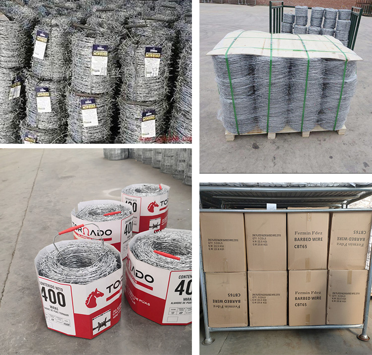 Low Price Concertina Hot Dipped Galvanized Razor Barbed Wire