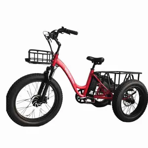 Kunden spezifische und komfortable 48 V1000W elektrische Tri elektrische Dreiräder 3-Rad elektrische Fracht Fahrrad Dreirad Taxi Moto