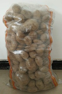 Prix bon marché PP transparent sac tissé pour la pomme de terre - Product Image 4