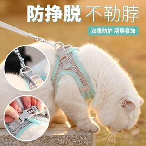 Arnés Reflectante para Perros de Raza Pequeña, Chaleco para Mascotas con Correa para Caminatas Nocturnas con Seguridad - Product Image 5