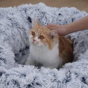 折りたたみ式折りたたみ式ぬいぐるみ猫トンネルメーカー卸売 - Product Image 3