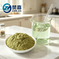 Poudre d'extrait de Mélisse 2%-5% Acide Rosmarinique Concentration 10:1 Qualité Alimentaire 1kg Emballage Sous Vide Extrait par Solvant Brut