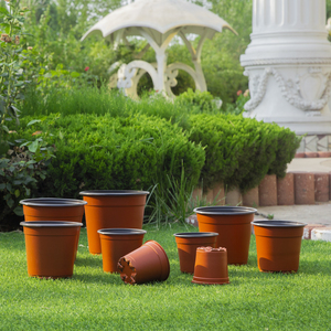 กระถางดินเผาสองรูสำหรับสถานรับเลี้ยงเด็กทำจากพลาสติก PP รีไซเคิลเส้นผ่านศูนย์กลางด้านบน10ซม. มีรูระบายน้ำ - Product Image 4