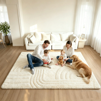 Nouveaux tapis décoratifs épais et doux de couleur unie pour salons, chambres à coucher, tapis de jeu pour bébés en fausse fourrure, mousse à mémoire de forme