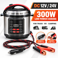 Autocuiseur Électrique Personnalisé 12V 24V DC 300W Multicuiseur Marque Privée Emballage Personnalisé OEM ODM Usine pour Importateurs