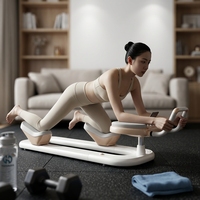 Appareil d'exercice abdominal multifonctionnel, silencieux, réglable, en acier, écologique, portable pour la maison, équipement de fitness pour la santé et l'amincissement de la taille