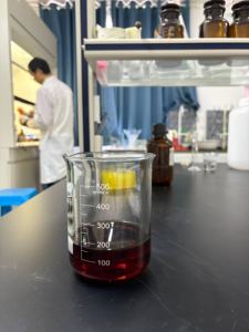 Aceite Aromático de Ámbar Natural de Primera Calidad para Difusores, Velas y Fabricación de Jabones, Marca Privada - Product Image 4