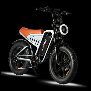 Vélo électrique tout-terrain de 20 pouces, 1000 W, pour adultes, pneus larges, freins à disque <span class=keywords><strong>avant</strong></span> <span class=keywords><strong>et</strong></span> arrière, vélo de montagne électrique - Product Image 3