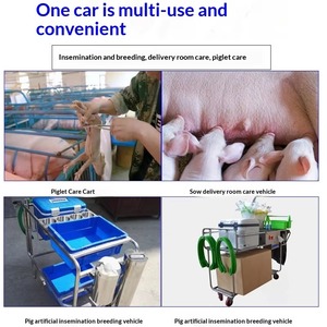 <span class=keywords><strong>Carrello</strong></span> per Inseminazione Artificiale e Allattamento Suini in Acciaio Inossidabile per Veterinaria - Product Image 5