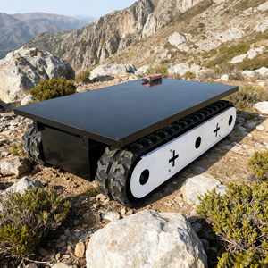 Khả năng cơ động cao điện điều khiển từ xa theo dõi <span class=keywords><strong>Chassis</strong></span> 360 độ xoay không gian hẹp nhỏ QUAY 1t tải công suất - Product Image 5