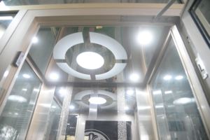 CE sertifikalı 300KG hidrolik otomatik Motor ev tipi asansör 2-4 kat iç ve dış engelliler için otel Villas için - Product Image 2