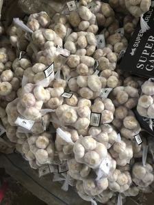 <span class=keywords><strong>Ajo</strong></span> Fresco 2025 Nuevo Precio <span class=keywords><strong>Ajo</strong></span> <span class=keywords><strong>Elefante</strong></span> Exportación a BRASIL EUROPA EGIPCIO ÁFRICA - Product Image 4