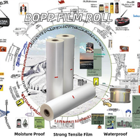 Film BOPP métallisé haute résistance pré-enduit en rouleau composite, souple, étanche, anti-humidité, pour machines et produits chimiques