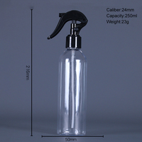 Personnalisation en gros 150ml 200ml 250ml 300ml BELONG Flacon pulvérisateur de chambre en plastique PET transparent avec mini pulvérisateur à gâchette
