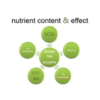 Extrait végétal de qualité alimentaire garantie, ingrédient pur, poudre enzymatique de fruits et légumes, marque privée, favorise le transit intestinal