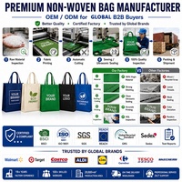 Bolsa Térmica Personalizada para Almuerzo, de Tela No Tejida, con Logotipo Personalizado, Portátil, Aislada, para Oficina, Picnic, Camping