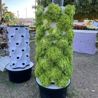 Aangepaste Tuin Ananas Tuin Verticale Landbouw Hydroponisch Kweeksysteem Verticale Landbouwtoren