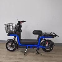 Vélo électrique Shenma 800W pour livraison de marchandises, E-bike 60V, scooter électrique tout-terrain pour la logistique urbaine