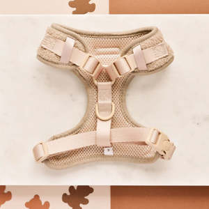 Conjunto de Arnés de Lujo de Invierno para Perro Pequeño, Ajustable, de Moda, Bordado, Engrosado, con Bufanda, Cinturón, <span class=keywords><strong>Collar</strong></span>, Clip para Bolsas de Excrementos y Personalizable - Product Image 3