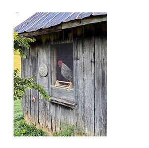 Percha para Pollos, Barra de Madera Resistente para Aves, Soporte Sólido, Accesorios y Juguetes para Gallinero y Criadero para Aves Grandes y Pollitos - Product Image 2