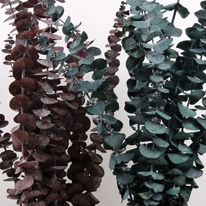 Décoration murale, feuilles d'<span class=keywords><strong>eucalyptus</strong></span> séchées blanches, couronne de fleurs, <span class=keywords><strong>guirlande</strong></span> de fleurs séchées préservées - Product Image 5