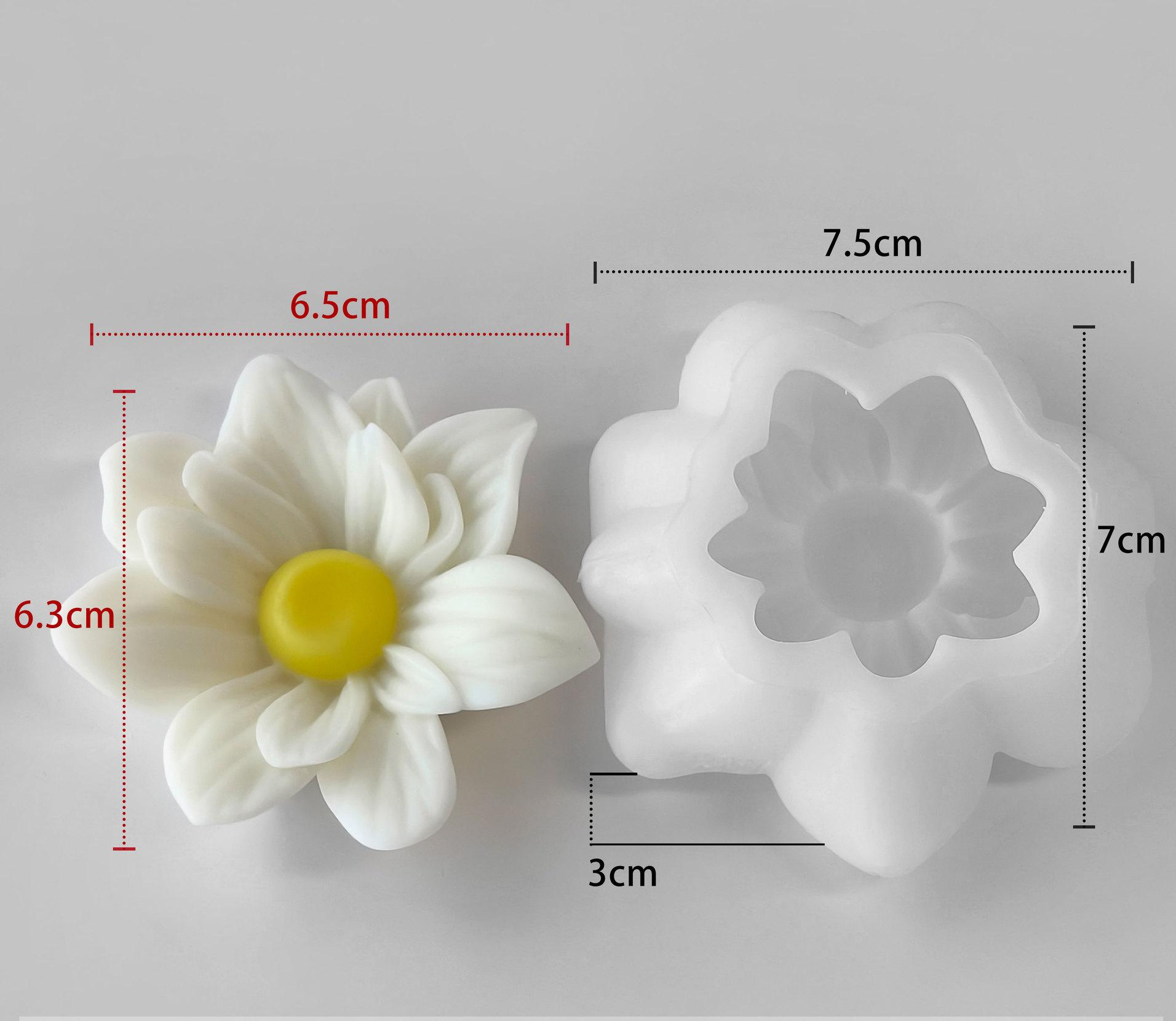 blanc#1)