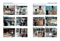 Neuer Easylift IP65 Motor-Vakuumschlauch-Heber mit CE-Zertifizierung 30-250kg Tragfähigkeit für Kartonboxen und Eimer