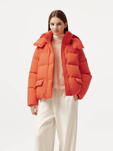 <span class=keywords><strong>Doudoune</strong></span> courte matelassée pour femme avec capuche et fermeture éclair, manches longues, chaude pour l'hiver, manteau matelassé, vente en gros de vêtements d'extérieur - Product Image 1