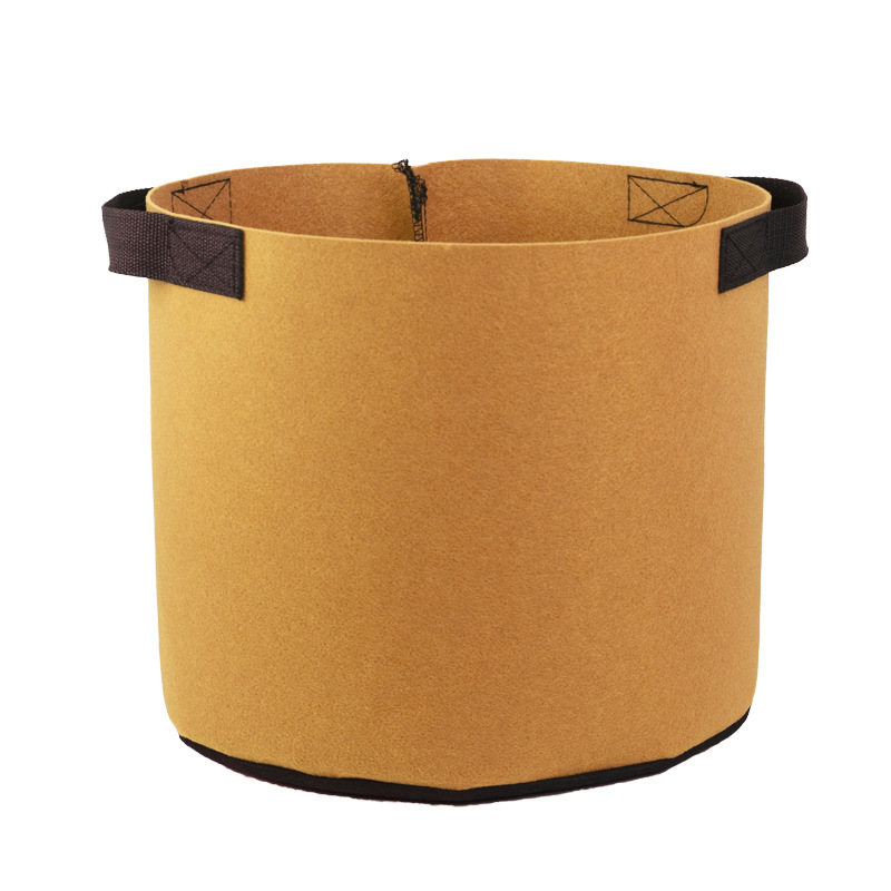 Marron chameau (TAN)