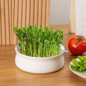 ถาดเพาะเมล็ดดินเผาแบบขายส่ง ถาดเพาะต้นกล้าเซรามิก ถาดปลูกต้นไม้สำหรับเพาะต้นกล้า - Product Image 4