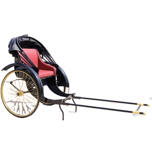 Rickshaw Clásico Vintage, Rickshaw <span class=keywords><strong>de</strong></span> Dos Ruedas con Arrastre Manual <span class=keywords><strong>en</strong></span> <span class=keywords><strong>Venta</strong></span> - Product Image 1