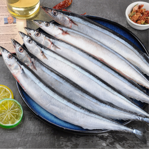 Sanma Saury Japonés Congelado para Ingredientes <span class=keywords><strong>de</strong></span> Restaurantes <span class=keywords><strong>de</strong></span> Sushi, Suministro OEM a Granel, Congelación Rápida - Product Image 5