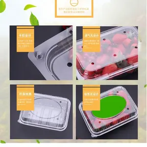 Factory Custom PET Disposable Clamshell Packaging Fruit Container Transparent Plastic Fruit Boxes