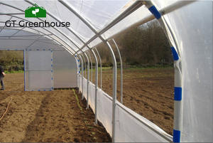 Invernadero de un Solo Tramo con Acero Galvanizado - Product Image 5