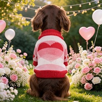 Valentijnsdag trui met hartjes voor katten en honden, lief, schattig, warm en knus, romantisch, feestelijk, leuk cadeau