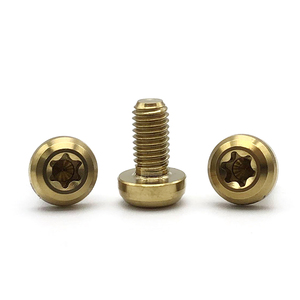 Titanium Bouten Prijs Kleur Kwaliteit 5 <span class=keywords><strong>Ti</strong></span> Titanium Bouten Hoge Kwaliteit <span class=keywords><strong>China</strong></span> T25 Torx Schroeven Voor Fiets Titanium Nummerplaat Schroeven