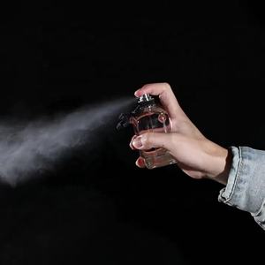 Parfum frais floral fruité 100 ml pour <span class=keywords><strong>homme</strong></span>, eau de parfum, parfum longue durée, OEM pris en charge, flacon en verre écologique - Product Image 6