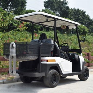 Cargador de Coche Eléctrico para Vehículos Eléctricos al por Mayor de Fábrica, Carrito de Golf Todoterreno de 4 Plazas, 60V 72V 3.5KW 4KW 5KW, Carrito de Golf <span class=keywords><strong>4x4</strong></span> para 4 Personas - Product Image 4