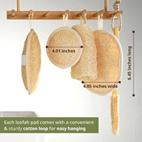 Éponge exfoliante naturelle en loofah pour le corps et le visage, 100% végétale, biodégradable, pour une peau lisse et éclatante, OEM