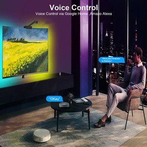 Rvb IC Smart WiFi télévision ambiante rétro-éclairage avec caméra application de contrôle Musi Sync TV LED bande lumineuse fonctionne avec Alexa Assistant - Product Image 2